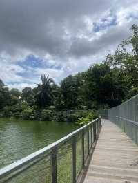 Finding things to do in Singapore? or where to go? 