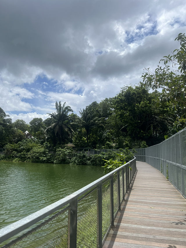 Finding things to do in Singapore? or where to go? 