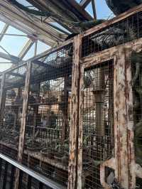 รีวิว Forbidden Journey @ Universal Beijing