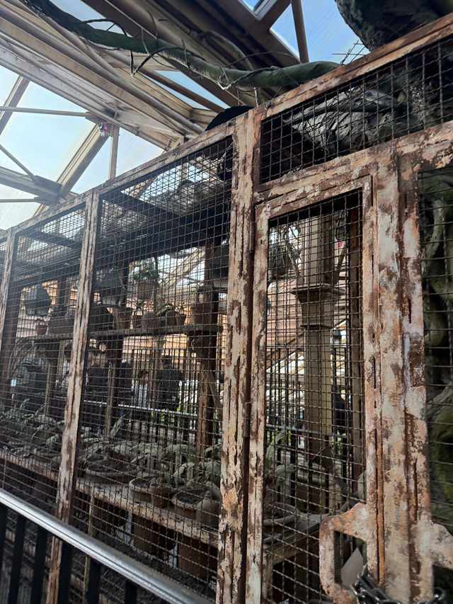 รีวิว Forbidden Journey @ Universal Beijing