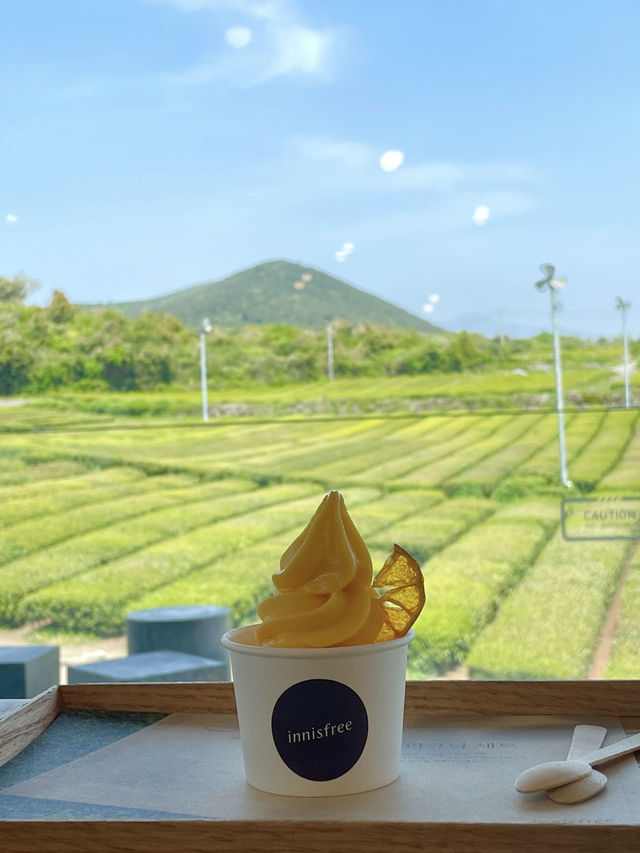 제주 초록초록 오설록 이니스프리 카페