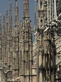 【黄金に輝く祈りの空間】モンレアーレ大聖堂で体感するシチリアの美⛪🌟