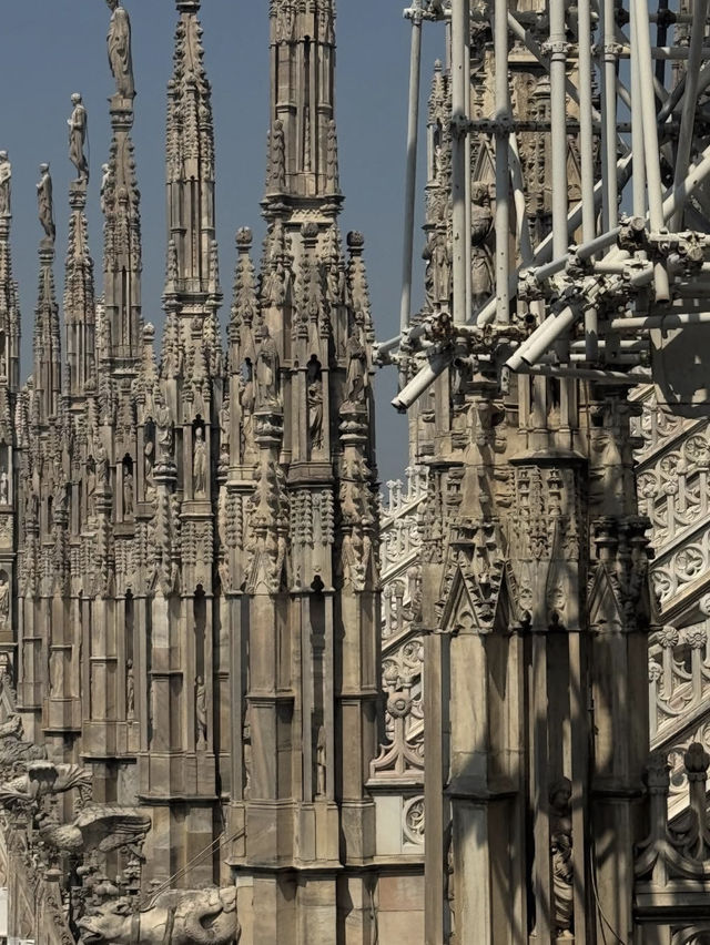【黄金に輝く祈りの空間】モンレアーレ大聖堂で体感するシチリアの美⛪🌟
