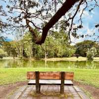Taman Tasik Taiping: A Misty Summer Morning in Malaysia’s Oldest Garden