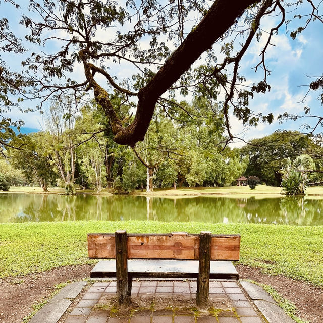 Taman Tasik Taiping: A Misty Summer Morning in Malaysia’s Oldest Garden