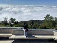 Sunrise Over a Sea of Clouds – Royal Pha Doi, Doi Inthanon ⛅️