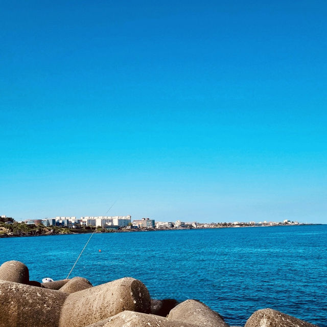 The Perfect Spot for Family Fun and Recreation