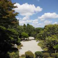 京都 | 圓山公園，市區中踏青賞花的休憩空間