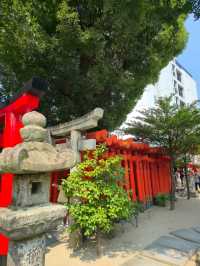 해외여행 일본 후쿠오카의 아름다운 신사 櫛田神社