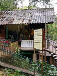 The Giant Chiangmai จ.เชียงใหม่