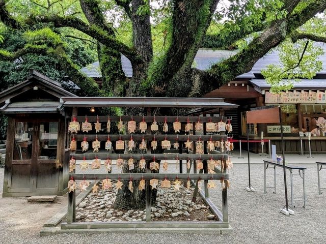 名古屋 | 熱田神宮，擁有千年歷史的悠久古剎