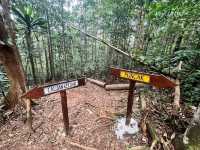 🏞 Gunung Lambak: Conquered the Jungle Beast!