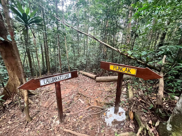 🏞 Gunung Lambak: Conquered the Jungle Beast!