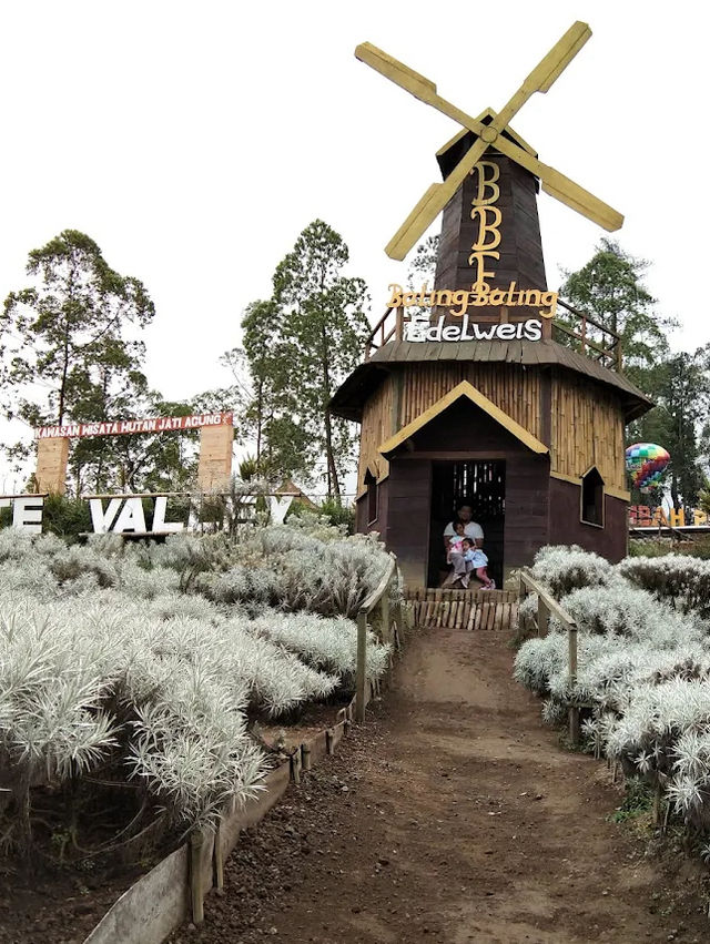Taman Edelweis Bali