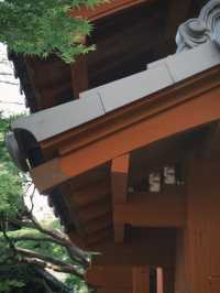 🇯🇵 Tokyo Hidden Gem – Gotokuji Temple, the Lucky Cat Paradise! 🐱📍