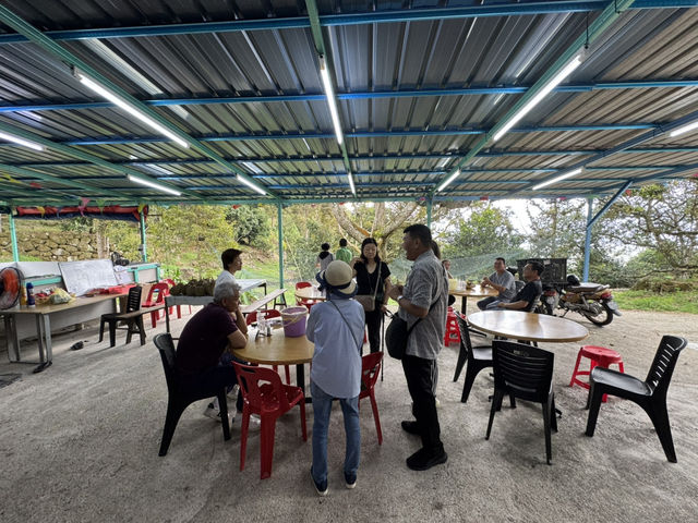 🌳 Hidden Gem in the Hills: 838 Durian Balik Pulau