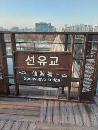 Seonyudo Park
