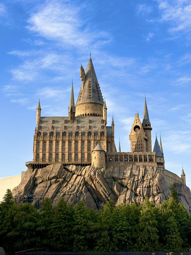 Lost in the World of Universal Studio Japan