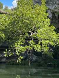 Hamilton Pool Preserve – Dripping Springs