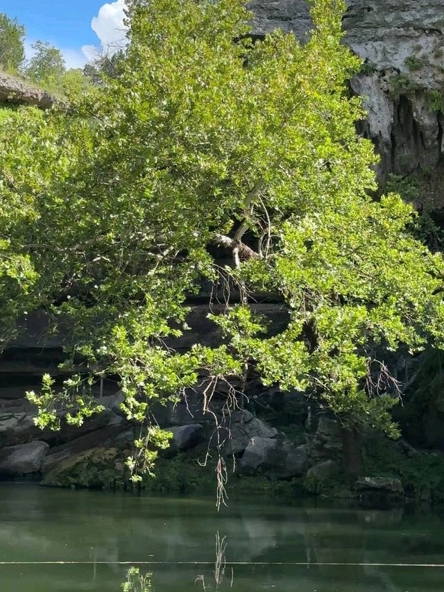 Hamilton Pool Preserve – Dripping Springs