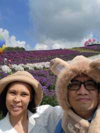 ทุ่งดอกไม้เขาค้อ ไฮเดรนเยียคาเฟ่