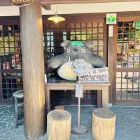 Magical Solo Escape: Yufuin Floral Village on a Budget** 🌸🏡