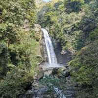 Forest Trails & Waterfall Feels