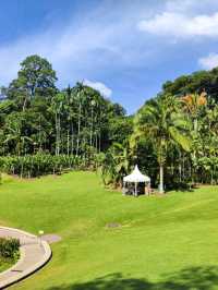 Botanic Garden in Singapore