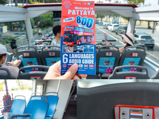 Elephant Hop-On Hop-Off Bus Tours