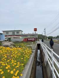A Cafe Teshima คาเฟ่สไตล์โรงงานบนเกาะเทชิมะ