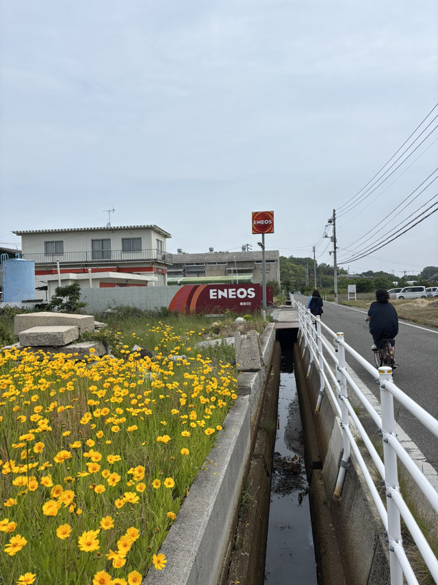 A Cafe Teshima คาเฟ่สไตล์โรงงานบนเกาะเทชิมะ