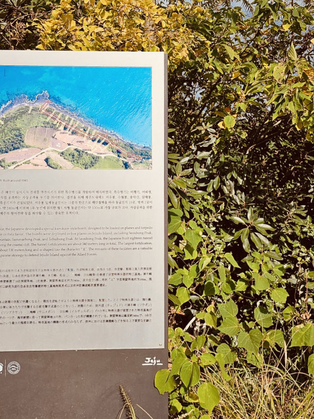 A Symbol of Jeju's Untouched Natural Beauty