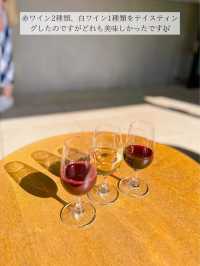 🍇ワイン好きな人集合！日本にある南フランス in 甲府市🍇
