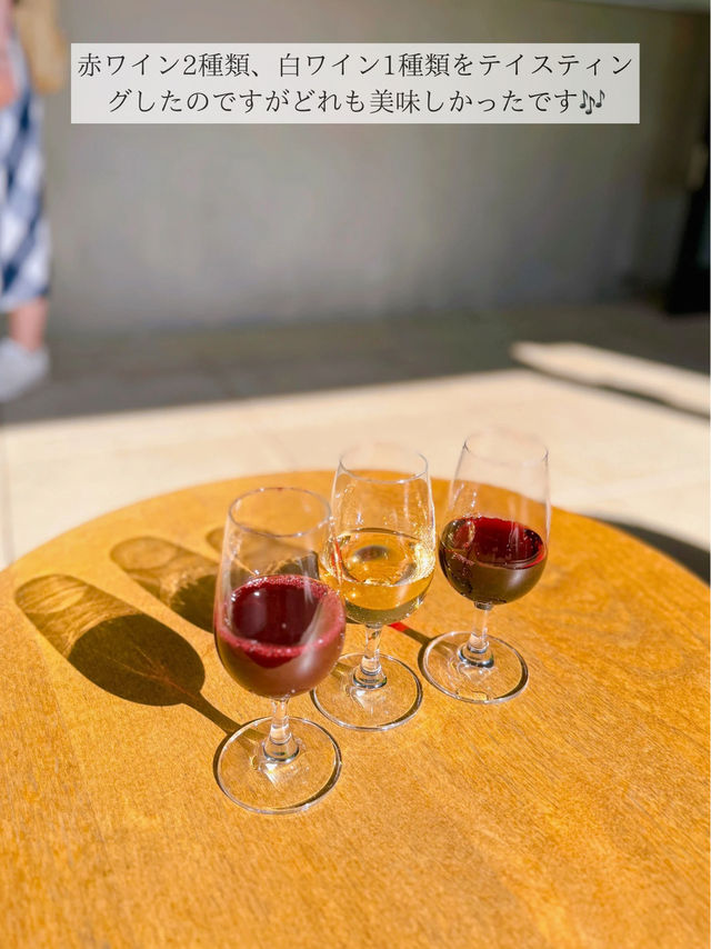 🍇ワイン好きな人集合！日本にある南フランス in 甲府市🍇