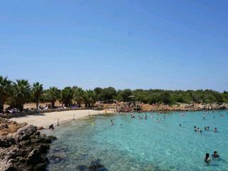 Day Out at Cleopatra Island