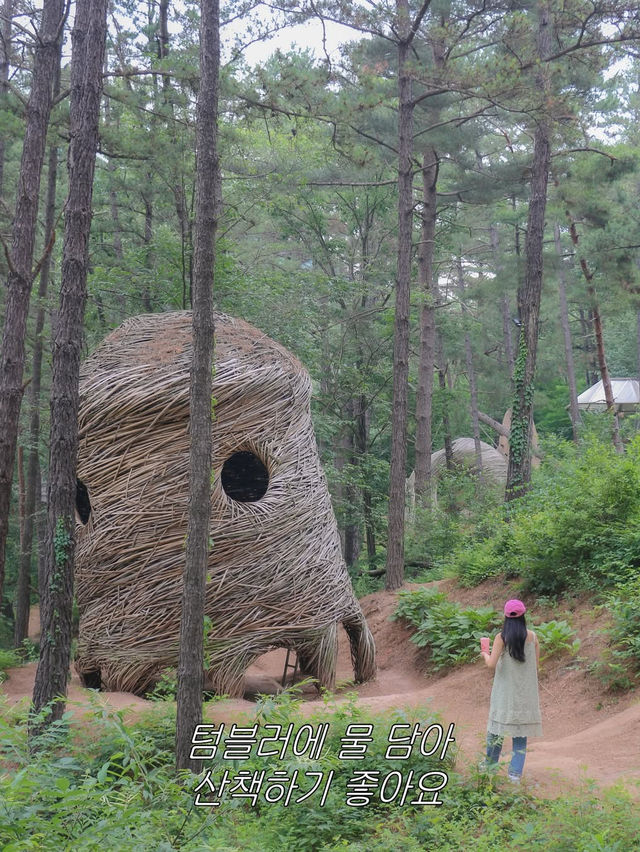 여행도 하고 환경도 지키는 탄소 중립 여행지 공주!