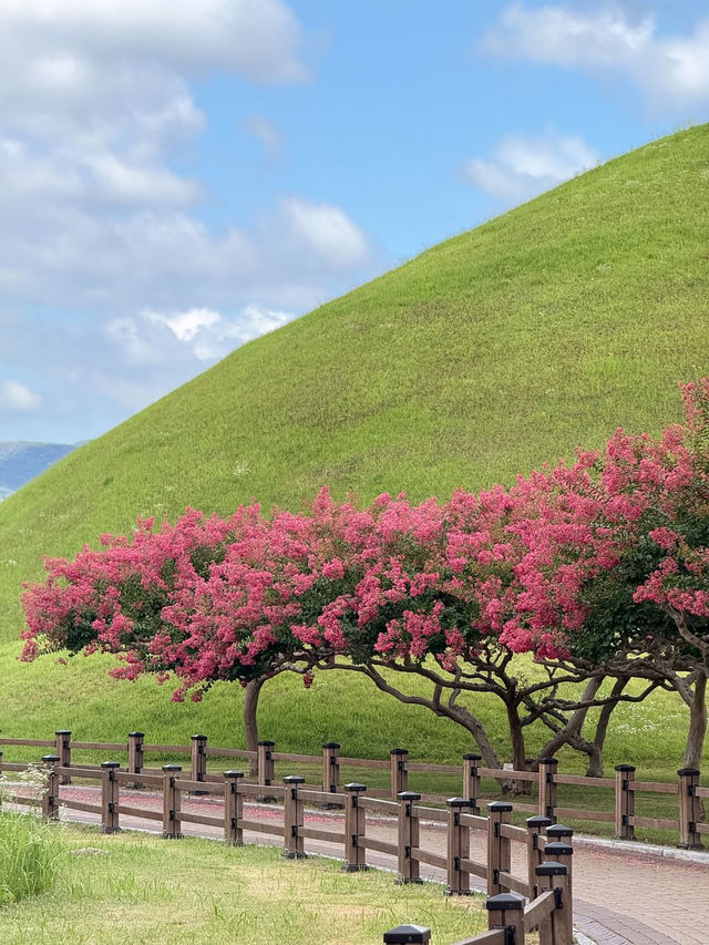 (실시간) 내가 조와하는 경주의 여름🌿