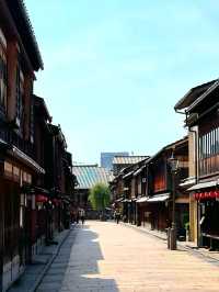 Edo Echoes: A Stroll Through Higashi Chaya District