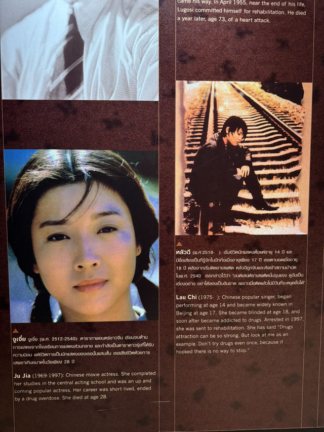 【タイ・チェンセーン アヘン博物館】歴史・人間・国境が交差する場所で、「麻薬」と向き合う知の旅へ