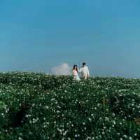 Yingyong flower garden