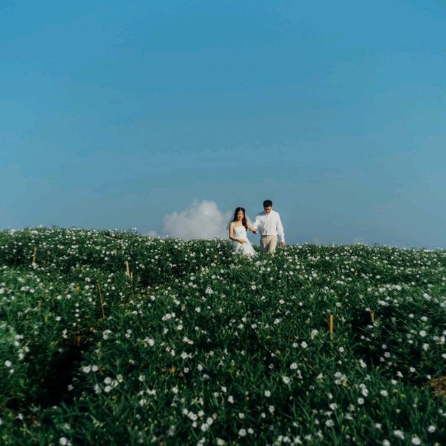 Yingyong flower garden