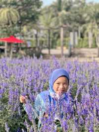 สวนลุงเวศน์ (Lungveat Garden)