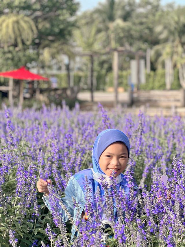 สวนลุงเวศน์ (Lungveat Garden)