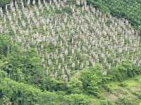 Krabi 4 Days Itinerary