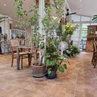 คาเฟ่เทพนิยายกลางเมือง