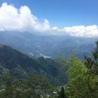 雲林古坑・五元兩角｜竹林祕境輕旅行