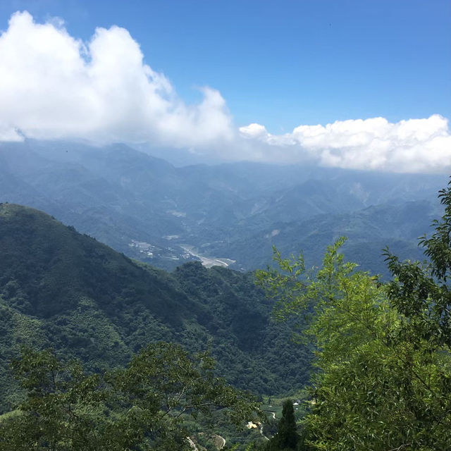 雲林古坑・五元兩角｜竹林祕境輕旅行