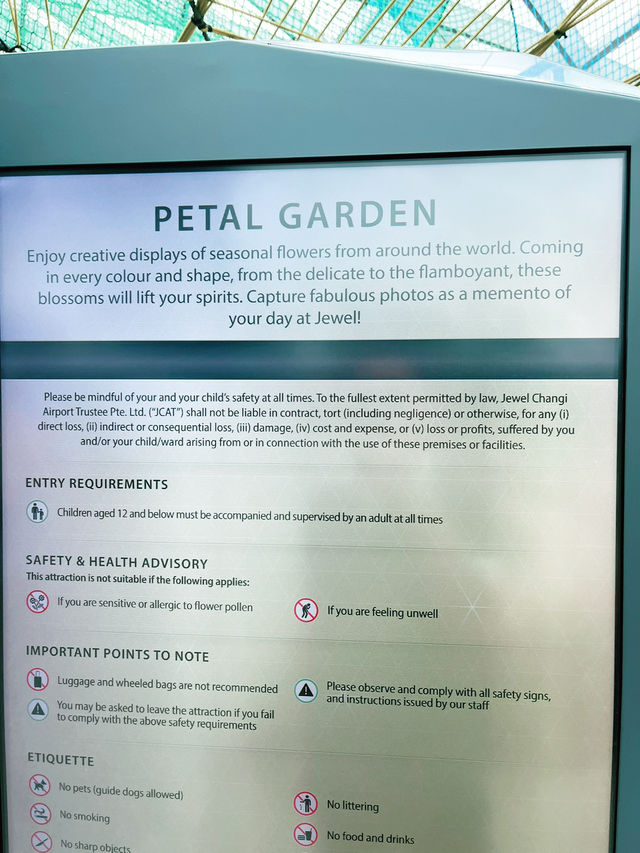 Petal Garden at Jewel Changi – Colourful Floral Wonderland