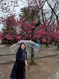 🇯🇵 Ueno Park