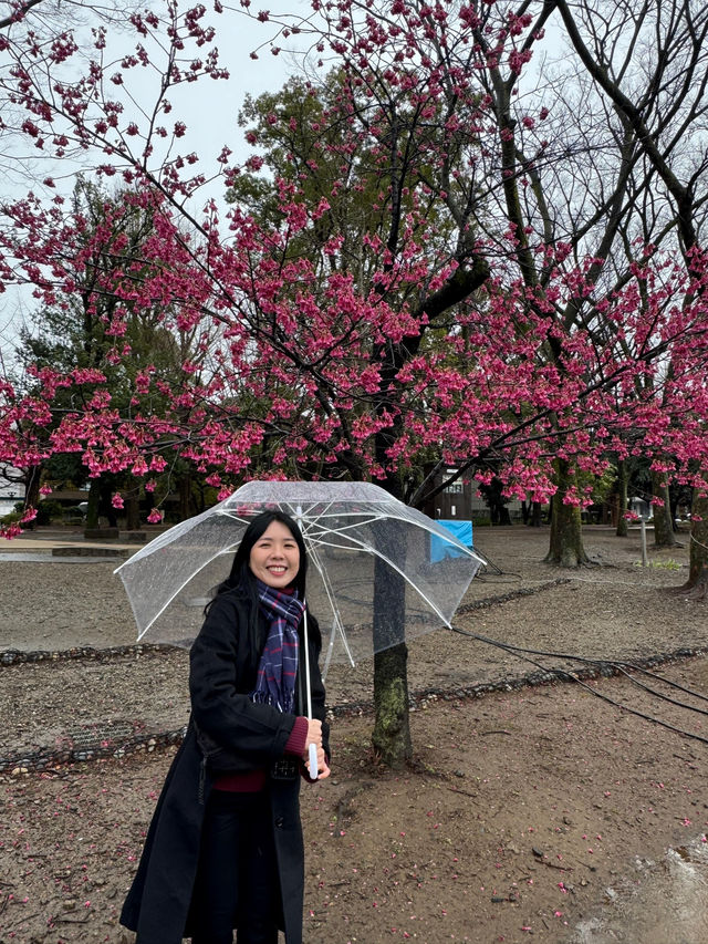 🇯🇵 Ueno Park